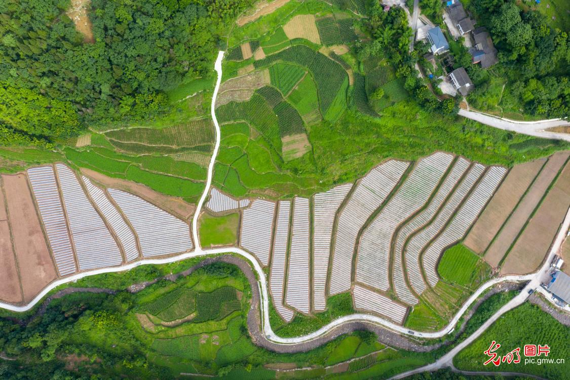 全国土地日丨守土护粮 共绘新篇