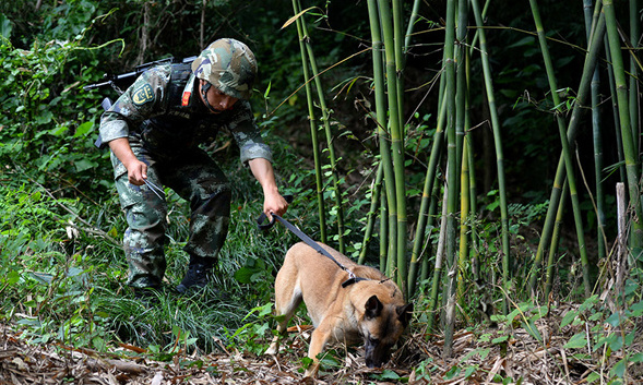 武警重庆总队警犬班:萌犬叼水管帮主人洗头