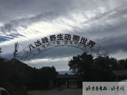 八达岭野生动物园今重新营业 暂停猛兽区自驾游