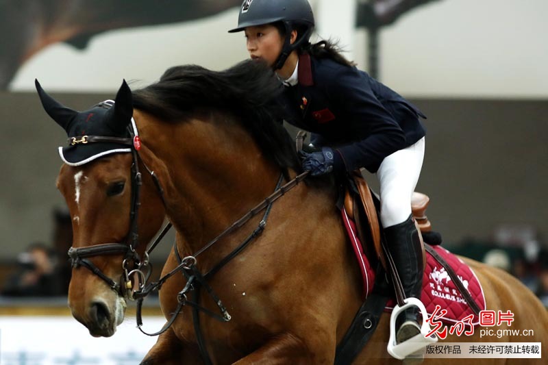 国际小骑手首次汇聚中国决战室内场地障碍赛