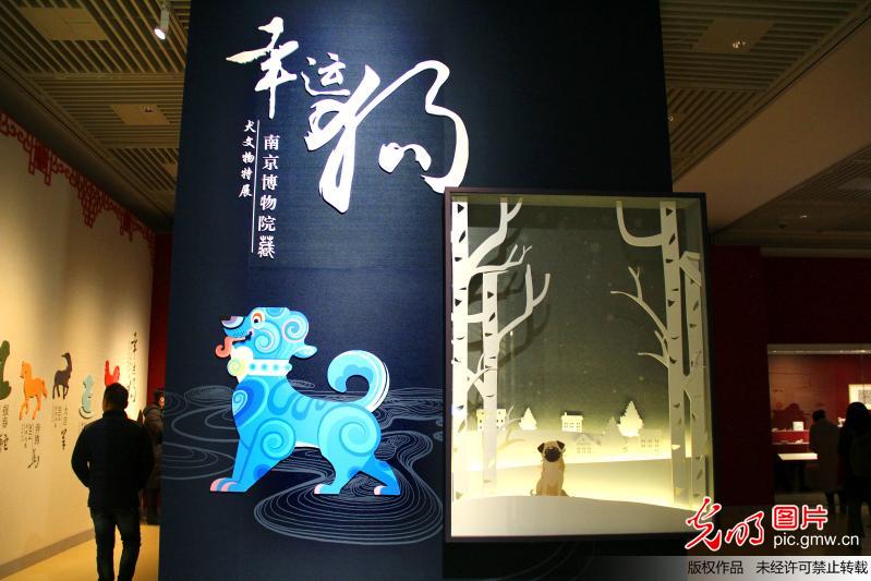 南京博物院藏犬文物特展开幕