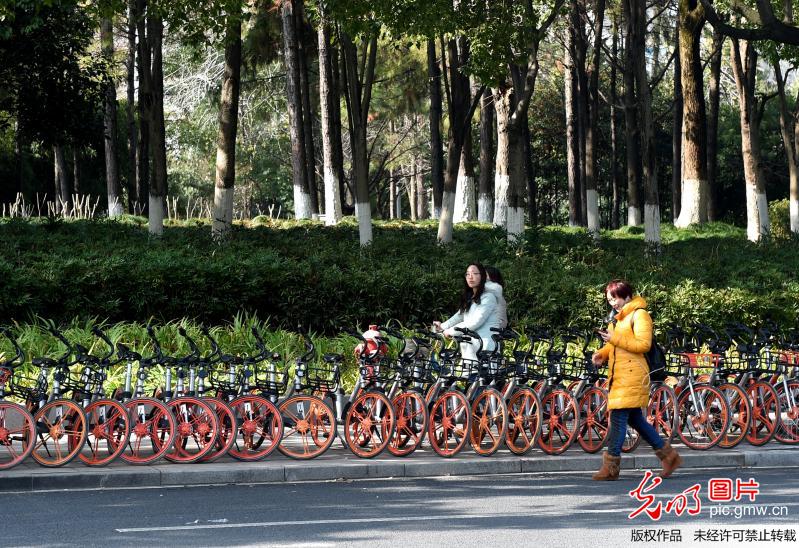 浙江义乌对共享单车运营企业实行“红黑榜”