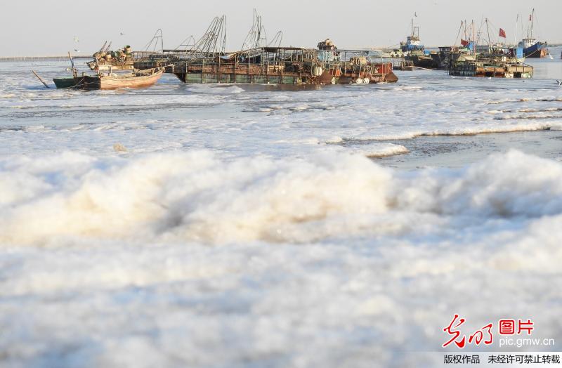 江苏连云港沿海岸边 出现大面积海冰
