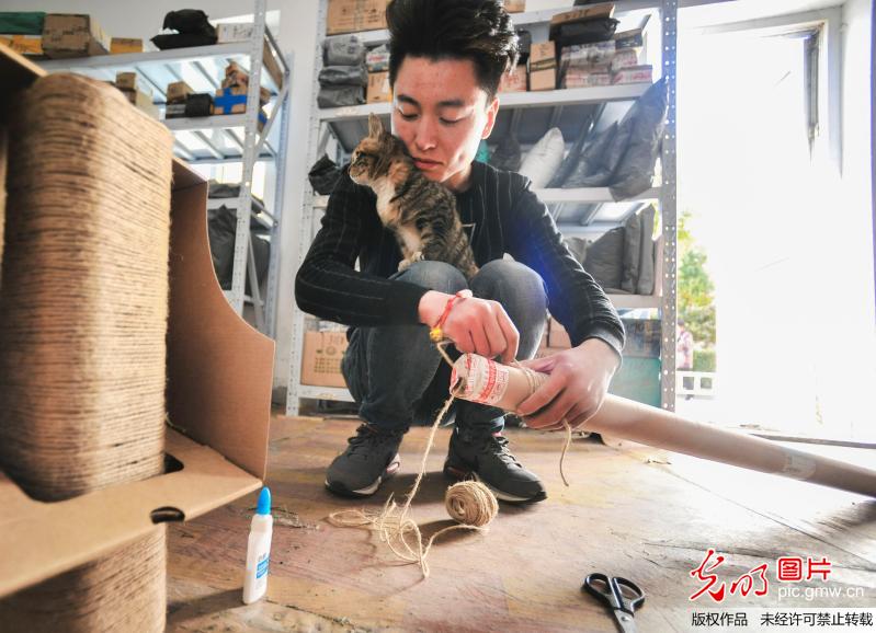 杭州“90后”小伙用纸盒为流浪猫搭“豪华别墅”遮风挡