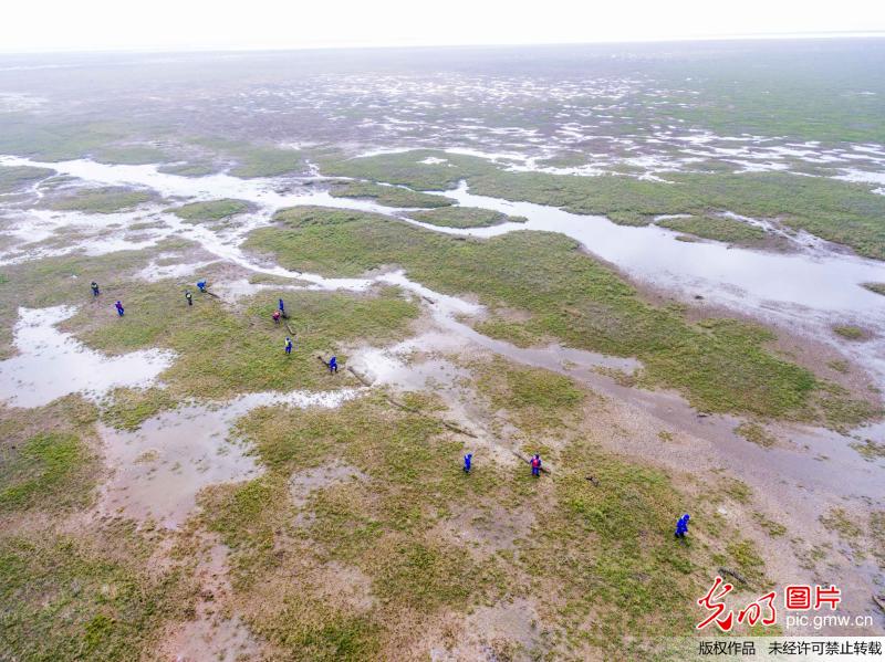 都昌县启动万名志愿者鄱阳湖生态保护行动