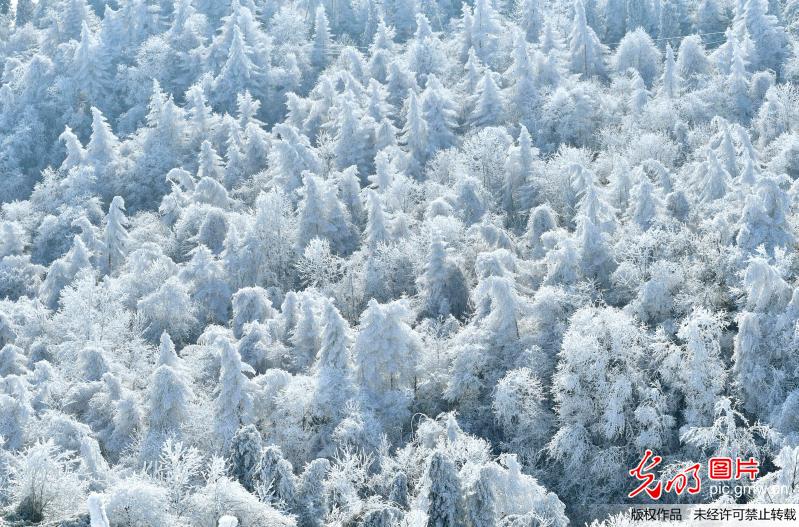 湖北恩施：“冰雪童话世界”