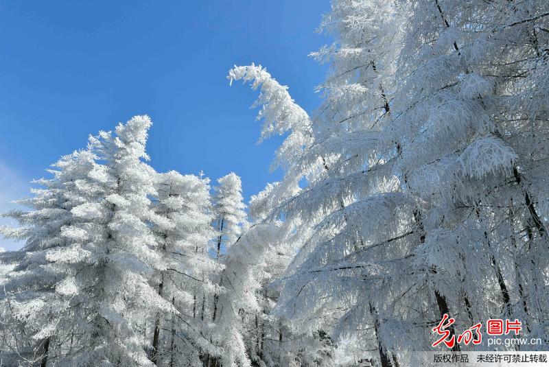 湖北恩施：“冰雪童话世界”