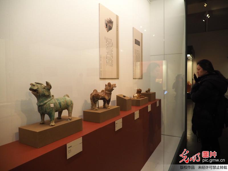 “瑞犬纳福——戊戌新年馆藏文物展”在国博开幕