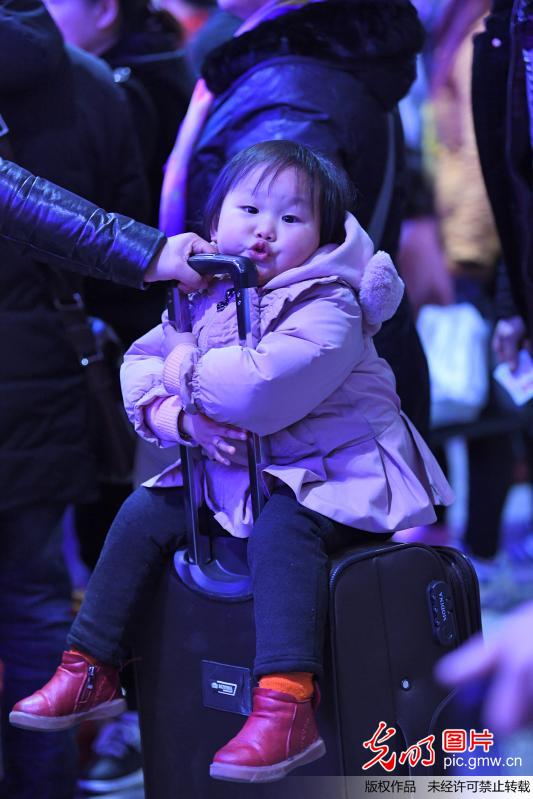 “小候鸟”大迁徙 “娃娃军团”卖萌抢镜