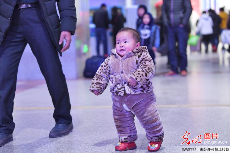 “小候鸟”大迁徙 “娃娃军团”卖萌抢镜