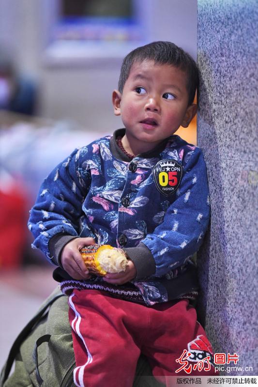 “小候鸟”大迁徙 “娃娃军团”卖萌抢镜