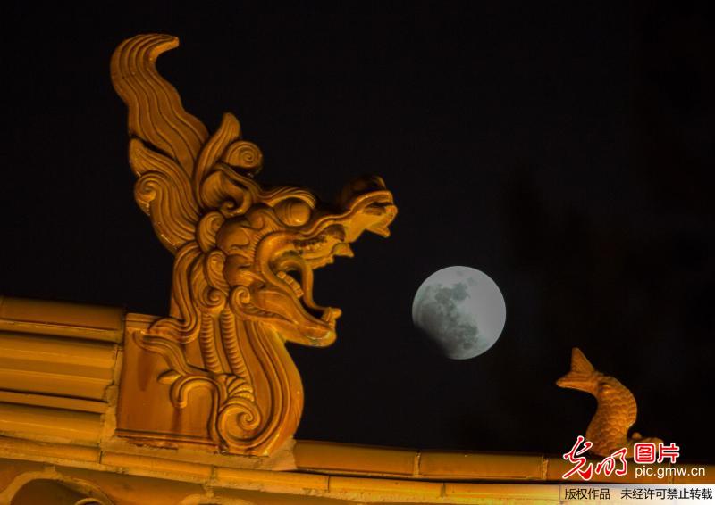 【光明图刊】“三月合一”齐现天宇