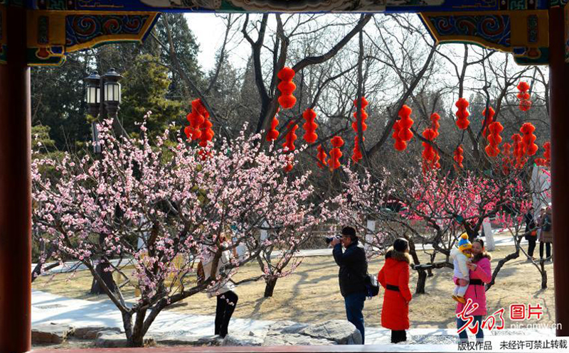 北京地坛公园春意浓浓迎新春
