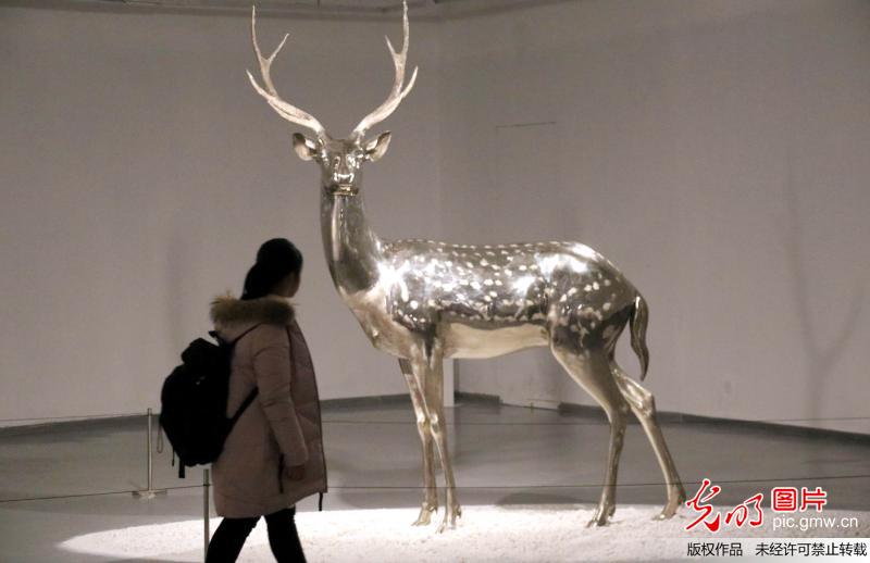 “栖——蔡志松2018艺术展”在苏州金鸡湖美术馆举行