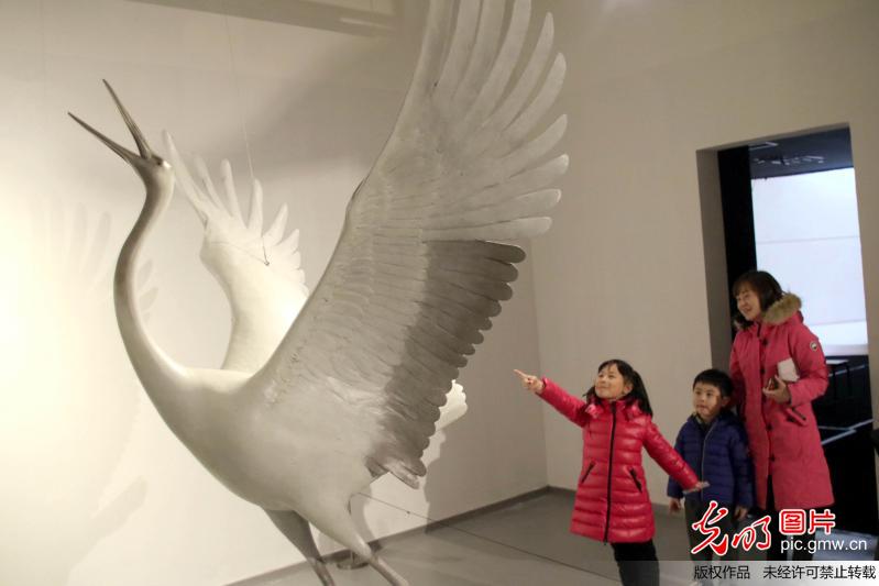 “栖——蔡志松2018艺术展”在苏州金鸡湖美术馆举行