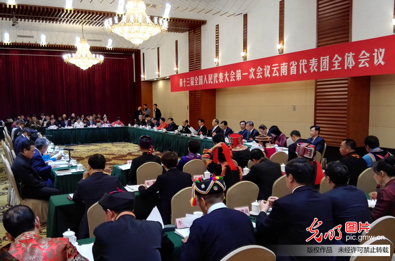 云南省代表团全体会议向媒体开放