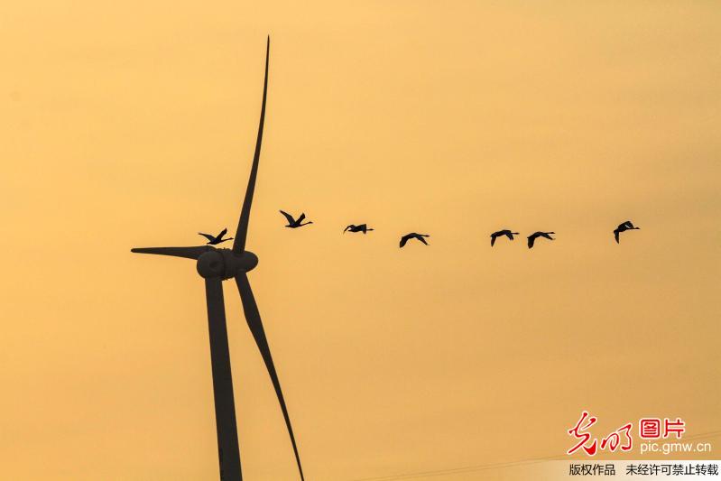 山东威海：崛起的山东省风力发电重量级基地