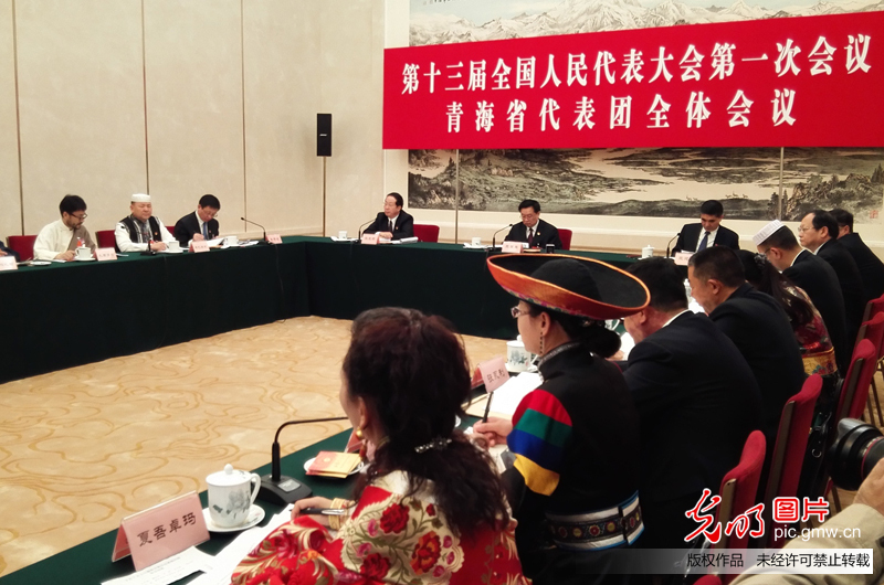 青海省代表团全体会议向媒体开放