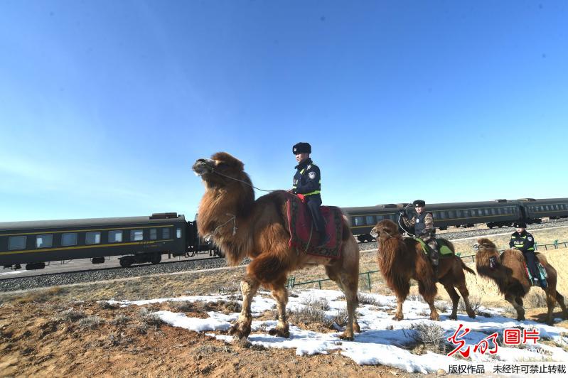 新疆铁警：驼队巡逻保铁路运输安全