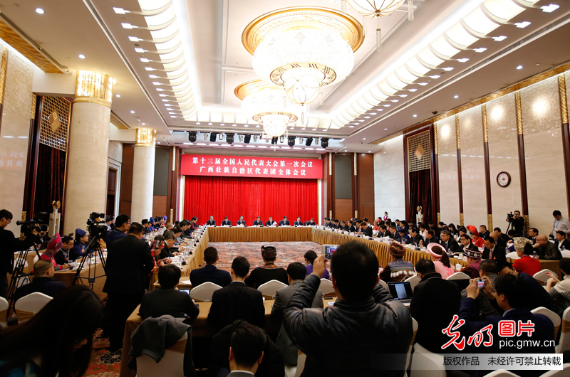 广西代表团全体会议向媒体开放