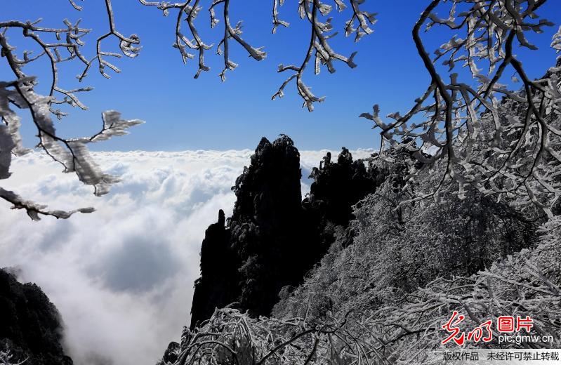 安徽：雪后黄山现壮观云海