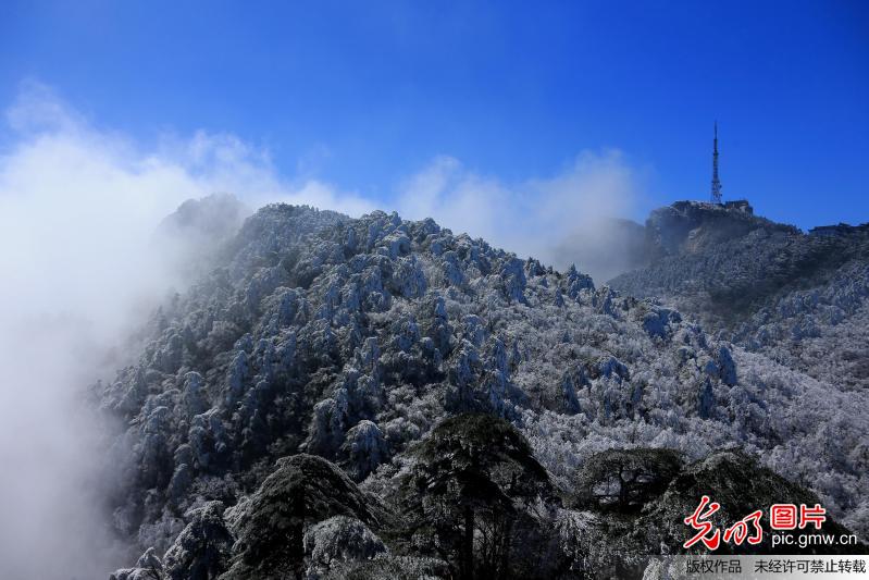 安徽：雪后黄山现壮观云海