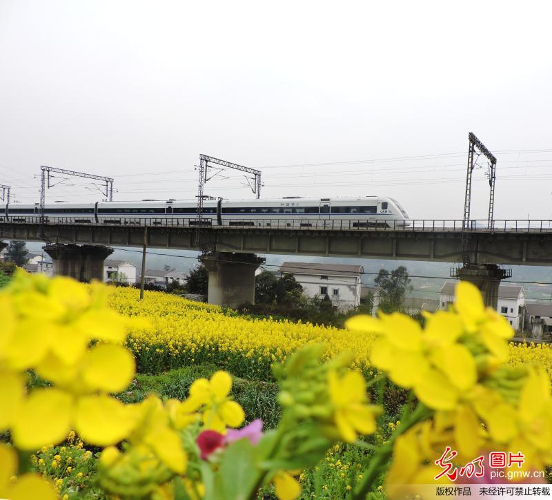 【光明图刊】平安春运 圆满落幕