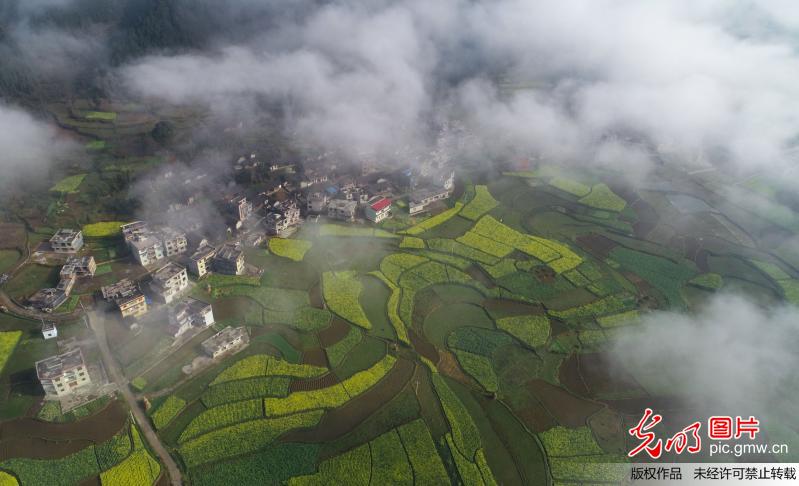 春忙时节大地美