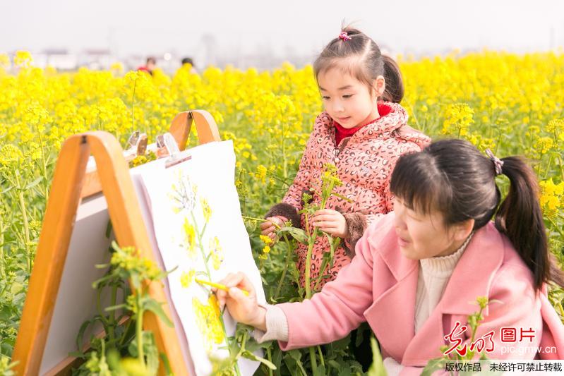 在油菜花田“画春天”