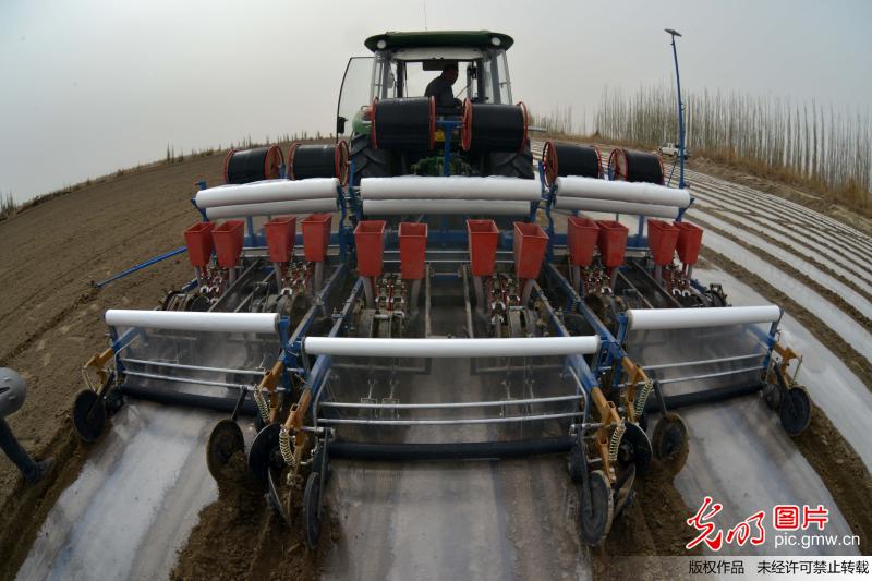 科技助力新疆棉花播种