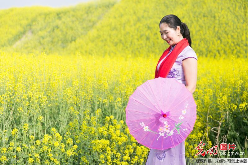 江苏如皋：油菜花田秀旗袍