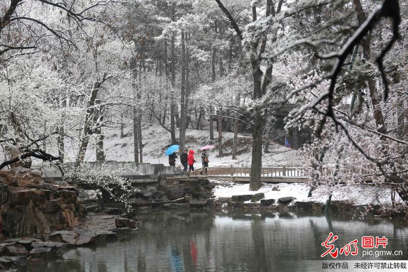 春雪润山庄