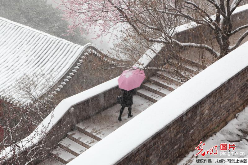 昨日北京降雪