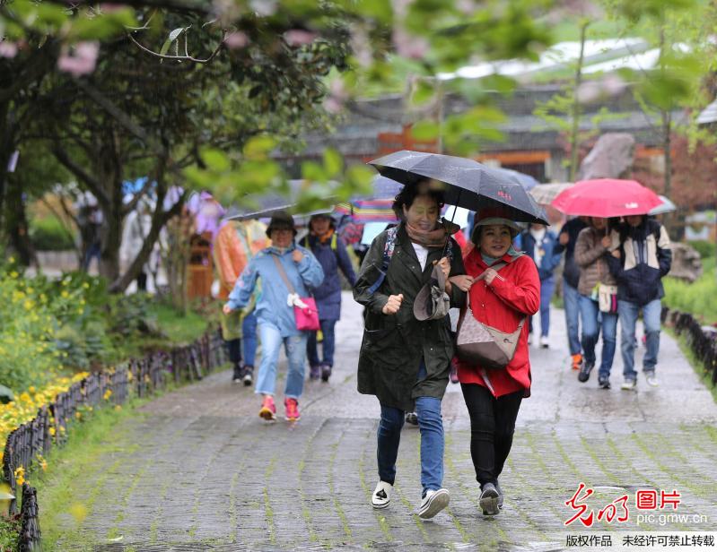 【网络中国节】清明节首日 国内旅游市场热度不减