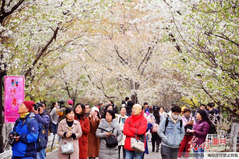 【网络中国节】清明节首日 国内旅游市场热度不减