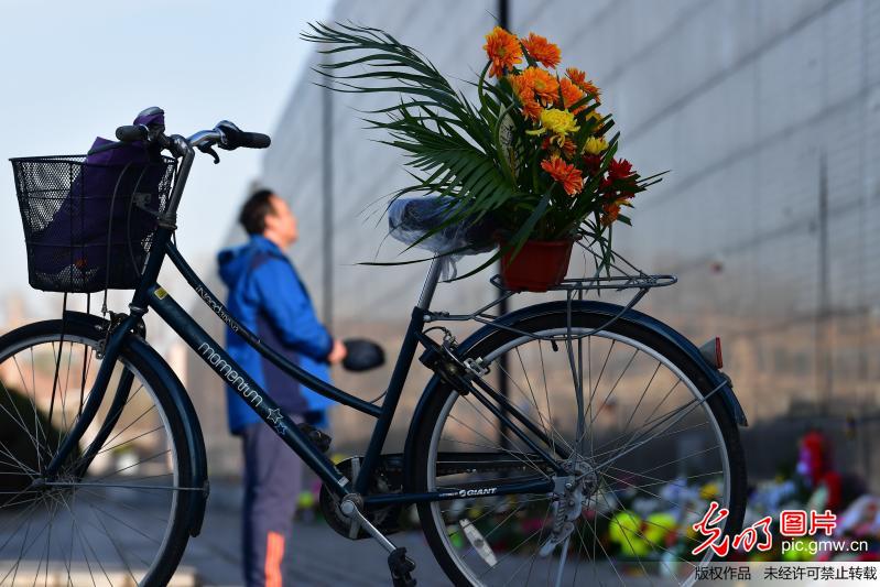 【网络中国节】各地倡导绿色清明 文明祭扫