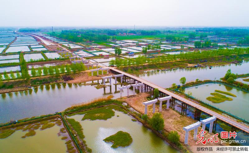 江苏泗洪：330省道溧河洼特大桥及接线工程全面提速