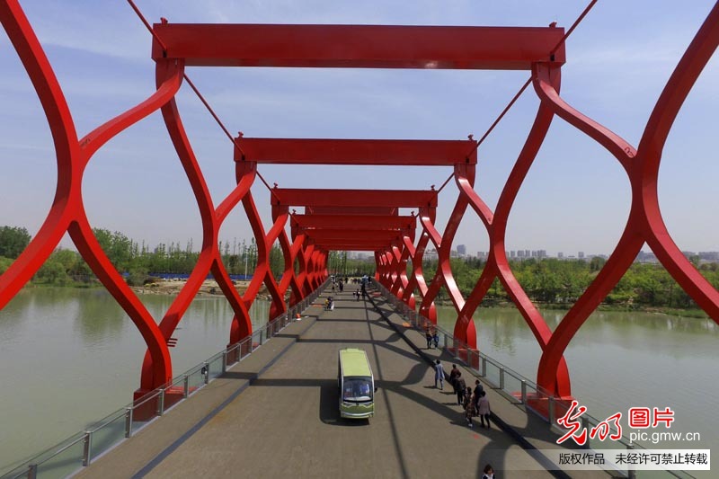 江苏扬州古运河畔“长”出生态公园
