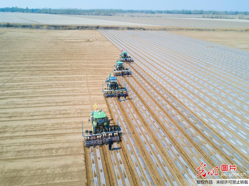 新疆无人驾驶拖拉机播种70万亩棉花