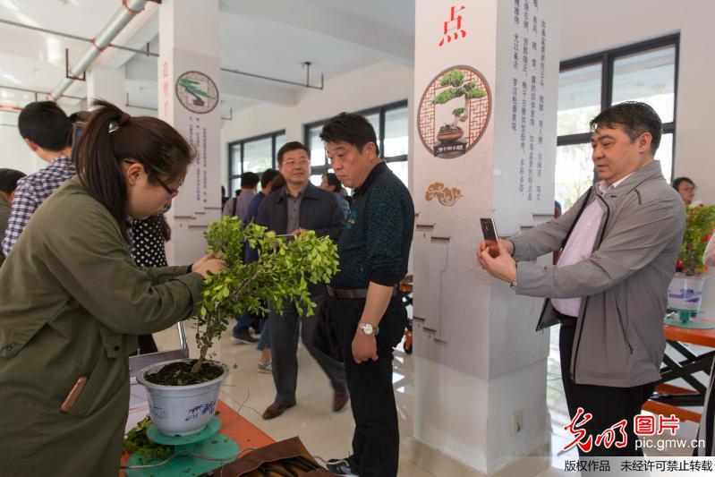 全国区域社区教育模式创新发展研讨会在如皋举行 全国区域社区教育模式创新发展研讨会在如皋举行