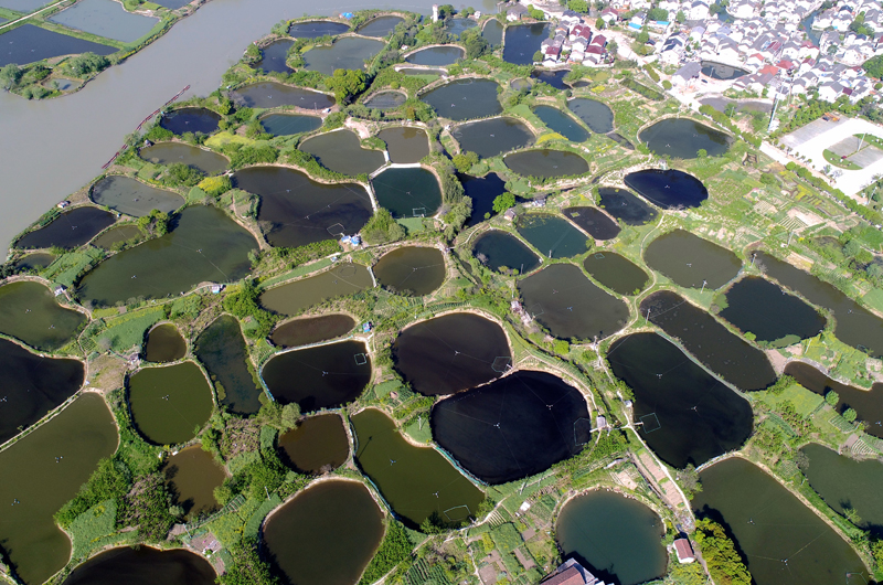 湖州“桑基鱼塘”列入全球重要农业文化遗产名录