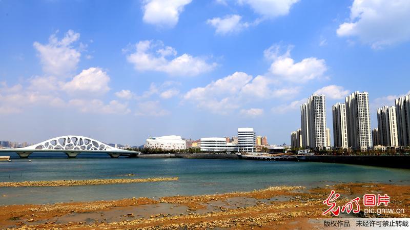 珊瑚贝桥成青岛新地标性建筑