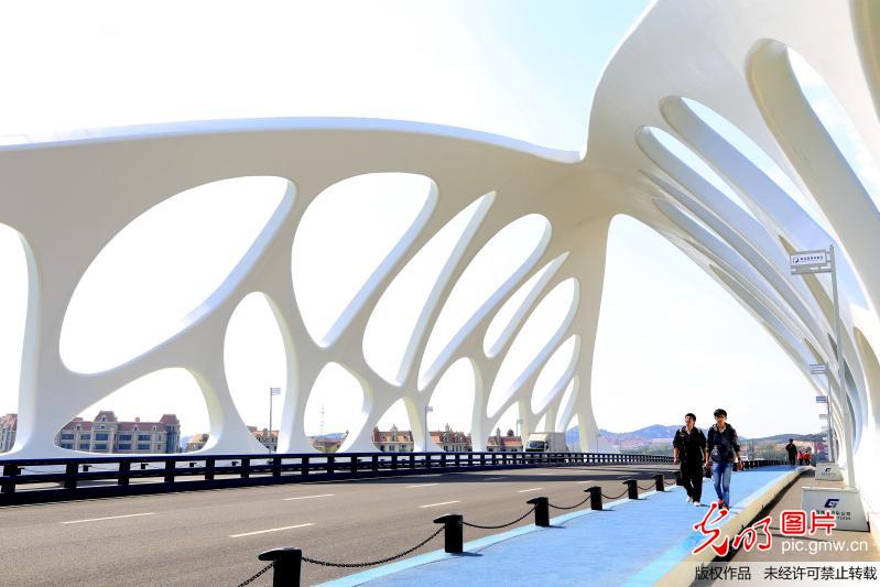 珊瑚贝桥成青岛新地标性建筑