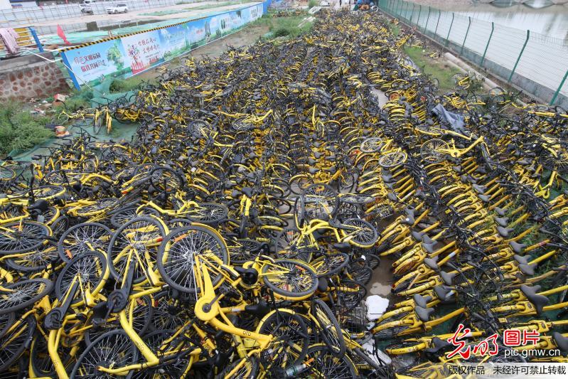 郑州数千辆损坏小黄车堆积河边令人心痛