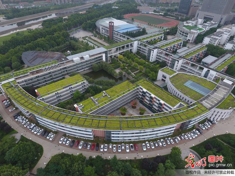 郑州一区域“空中绿地”达12个足球场大小