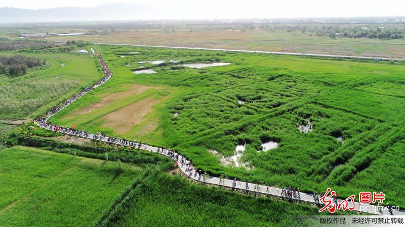 3000千人徒步穿越湿地迎接世界环境日