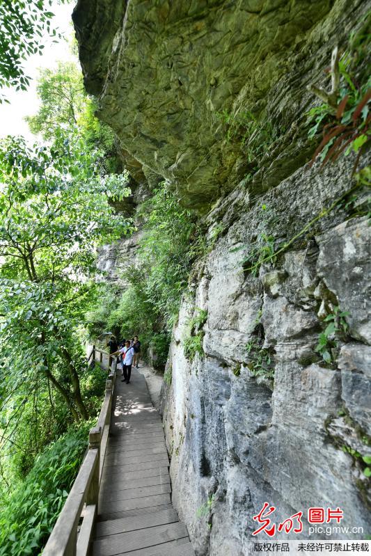 海龙屯上的七旬解说员