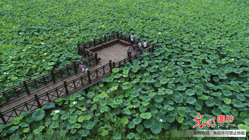 福建漳州：风景如画生态美 全域旅游正当时