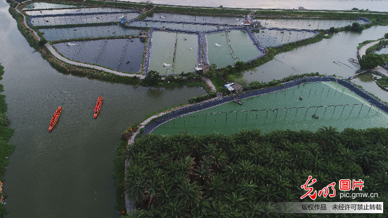 福建漳州：风景如画生态美 全域旅游正当时