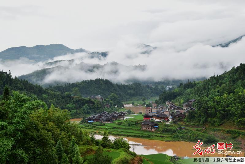 贵州从江：雾绕乡村 水墨画卷